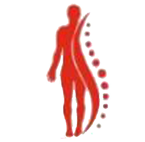 Theme Logo